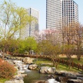DSCN1192-2.jpg